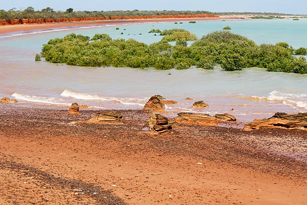 istock Coastal Australian Landscape 467965779