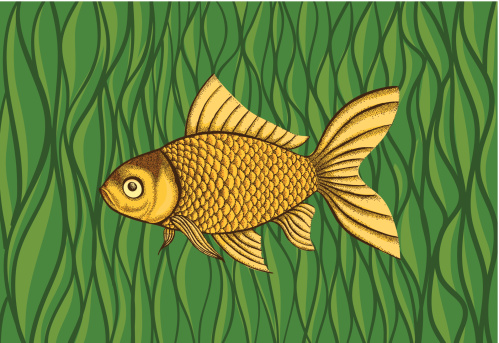 Goldfish on a background of green algae. Many similarities to the author's profile