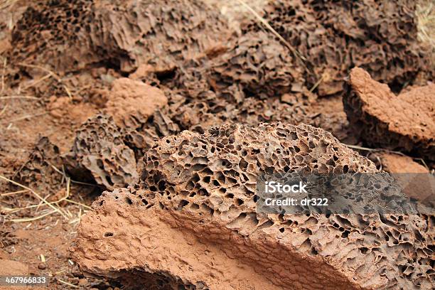 Termitero Fondo Foto de stock y más banco de imágenes de Australia - Australia, Fondos, Fotografía - Imágenes