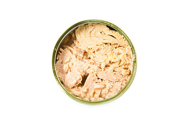 istock close up inside of tuna can 467966963