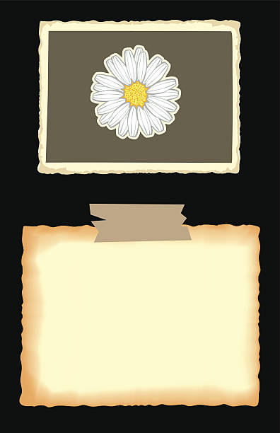 kertas foto tua - halaman kertas foto ilustrasi stok