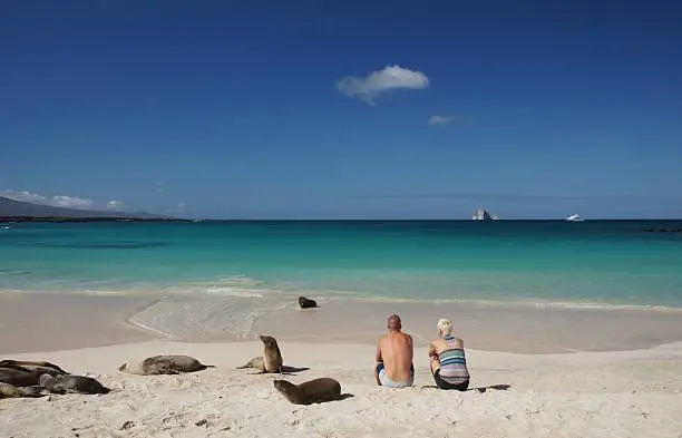Young couple in the Galapagos sitting on the beach enjoying the sea lions 