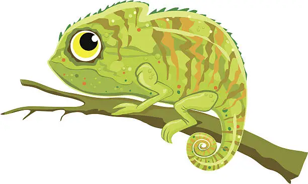Vector illustration of chameleon