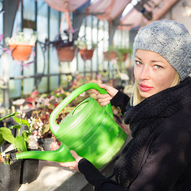 istock Florists woman working in greenhouse. 467971338
