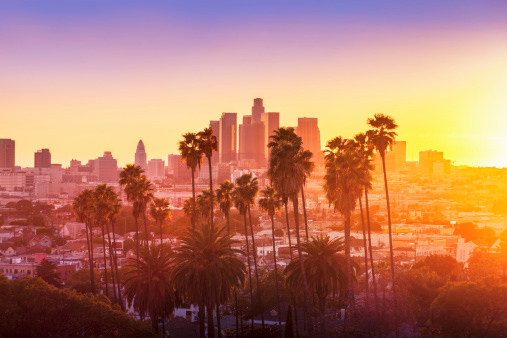 Centro de la ciudad de Los Ángeles con palmeras en el plano photo