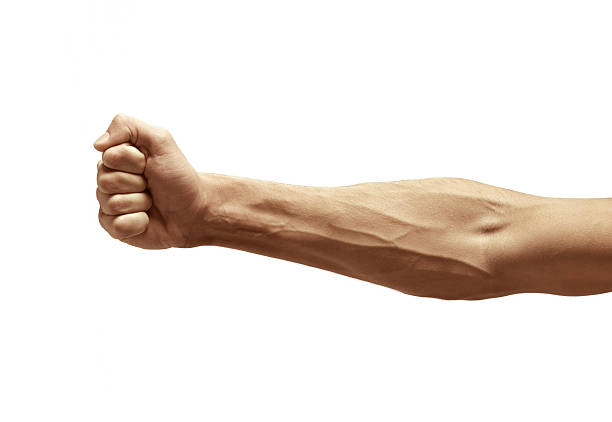 male arm male arm human vein stock pictures, royalty-free photos & images