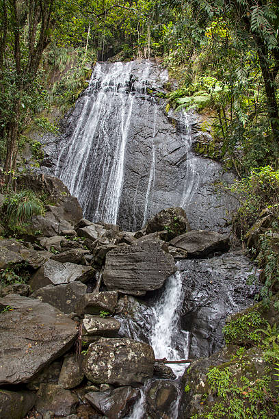 istock Water Clinging to the Rocks 467974540