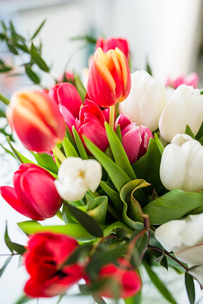 istock colorful tulips bouquet 467975224
