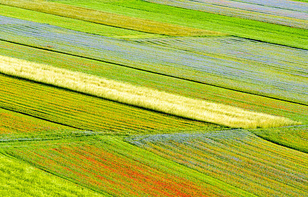 istock Piano Grande di Castelluccio (Italy) 467975578