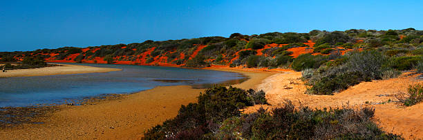 istock Panoramic Australian landscape - colorful lagoone and river near 467976235