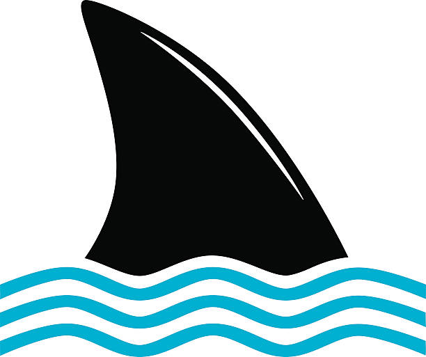 Shark Fin icon Vector illustration of a black shark fin moving through blue waves of water. sharks in water stock illustrations
