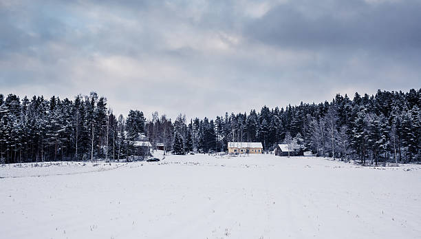istock Wooden cottage in winter forest, Central Finland 467983193