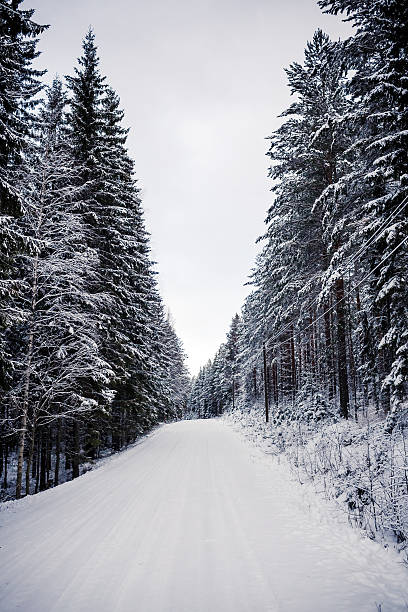 istock Snowy landscape in Central Finland 467985309
