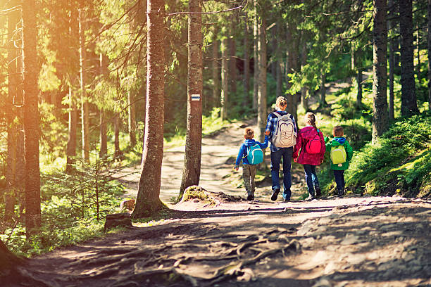 istock Mother and kids hiking in sunny forest 467986072
