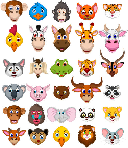 big animal head cartoon collection vector illustration of big animal head cartoon collection crocodile smile stock illustrations