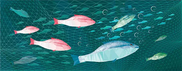 Vector illustration of fishing colorful fishes