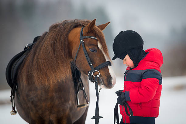 menino de criança e cavalo equitação horseback no inverno - winter snow livestock horse imagens e fotografias de stock