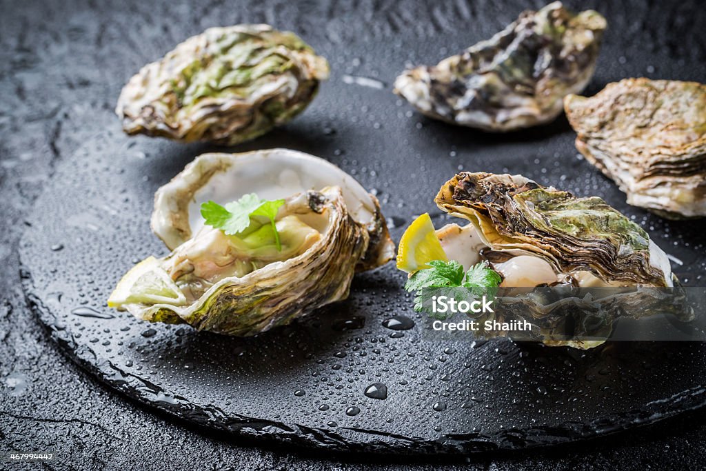 Freshly caught oyster in shell on black rock Freshly caught oyster in shell on black rock. 2015 Stock Photo