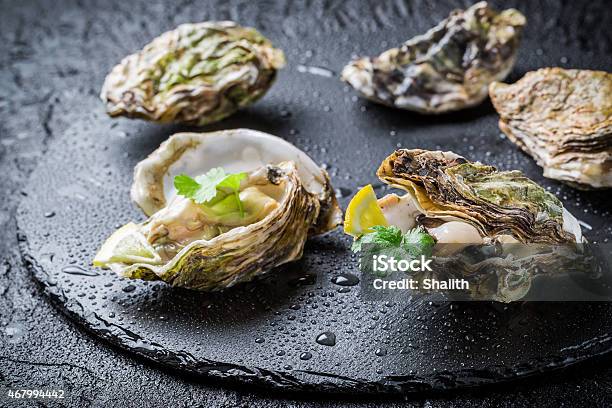 Freshly Caught Oyster In Shell On Black Rock Stock Photo - Download Image Now - 2015, Animal Shell, Appetizer