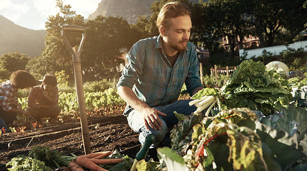 istock This is going to be a bumper harvest 467996956
