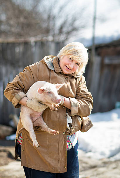 istock female farmer holding  pig 467997214