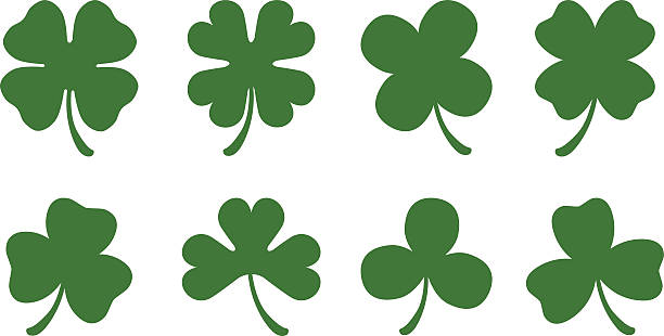 Four and Three Leaf Clovers A set of 8 different clover silhouettes. There are four different three leaf clovers and four different four leaf clovers. the club stock illustrations