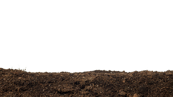 Photo of fresh brown dirt with compost isolated on white in bottom side of horizontal frame.The copy space is on the upper side of frame.ımage was created in studio with medium format camera Hasselblad H4D.