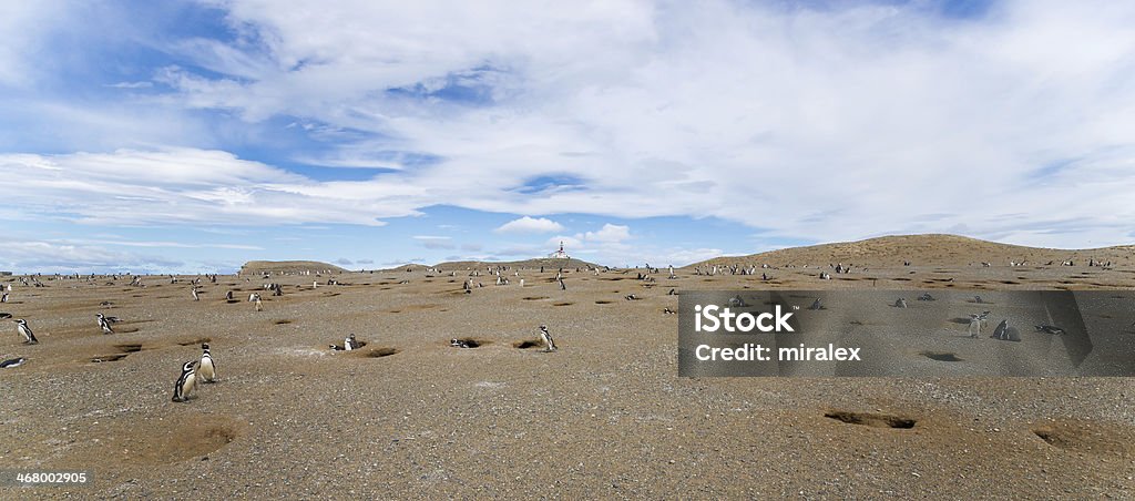 Panorama Ilha Magdalena, Estreito de Magalhães, Patagônia, Chile - Foto de stock de América Latina royalty-free
