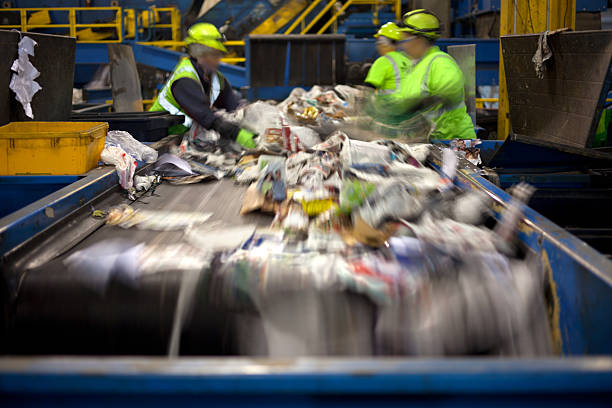 Recycling belt Workers separating paper and plastic on a conveyor belt in a recycling facility recycling bin stock pictures, royalty-free photos & images