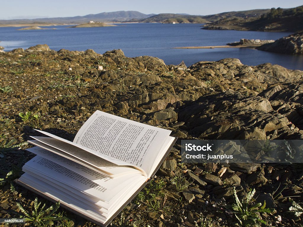 ラ naturaleza lectura en - スペインのロイヤリティフリーストックフォト