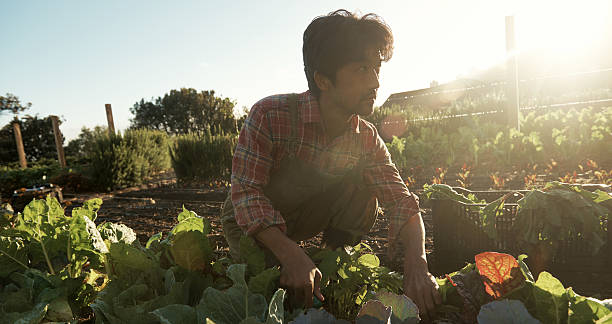 istock There's nothing better than growing your own... 468010206