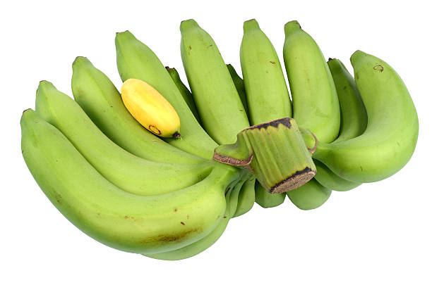 istock Bunch of green bananas. 468016447