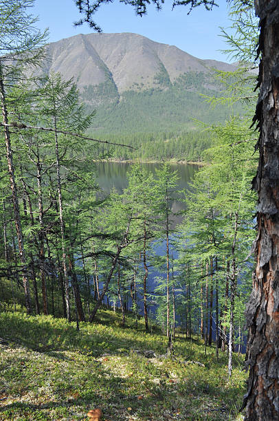 istock Scenery of the lake and reflections 468017051