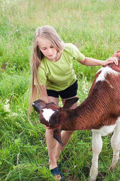 istock little girl with calf 468020331
