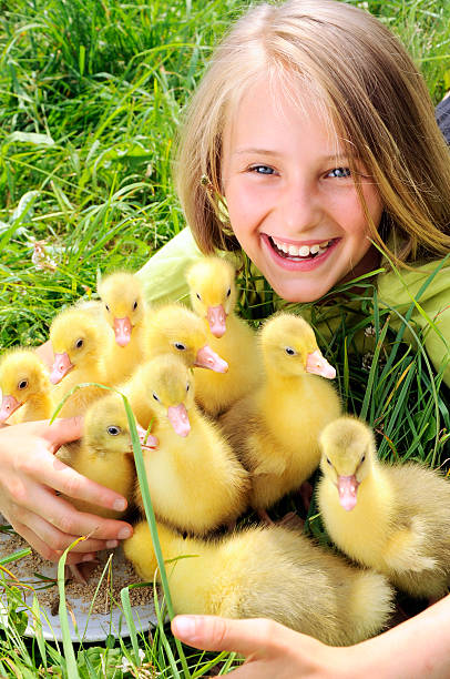 Portrait of girl with goslings at the farm