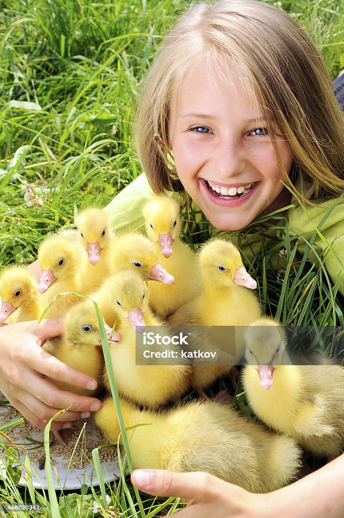 girl with goslings Portrait of girl with goslings at the farm Girls Stock Photo