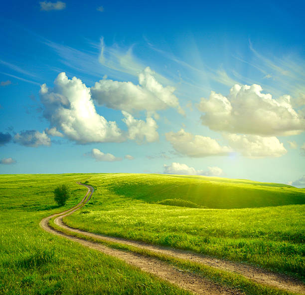 istock Summer landscape with green grass, road and clouds 468023127