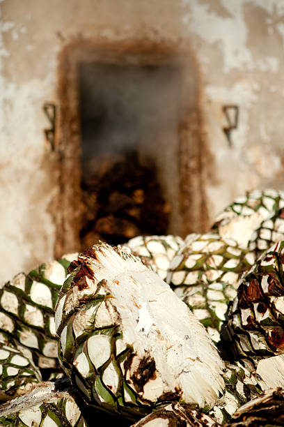 Agave Azul being steamed in adobo oven for tequila.