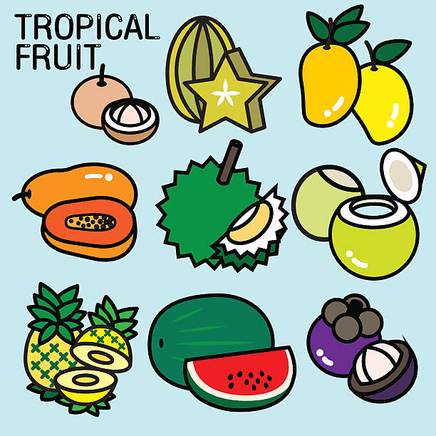 tropische früchte - pineapple plantation stock-grafiken, -clipart, -cartoons und -symbole