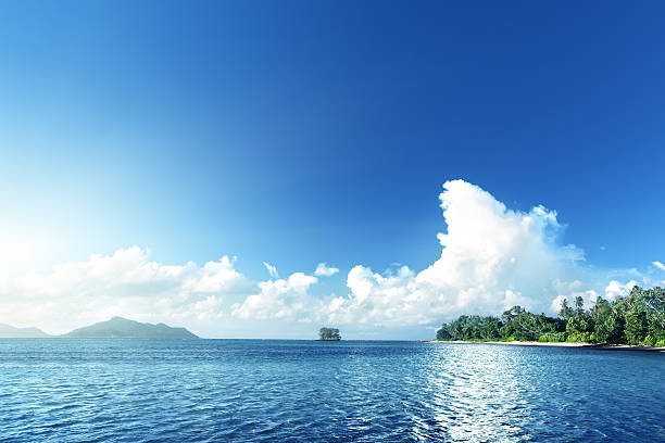 istock beach on La Digue island, Seychellas 468042832