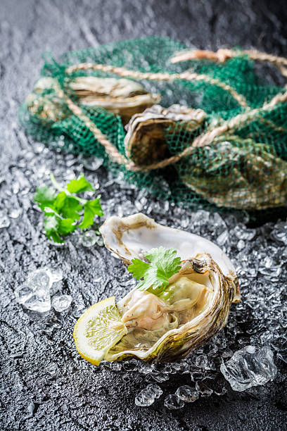 istock Delicious oysters on black rock with lemon 468042976