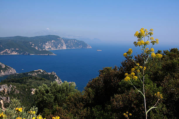 istock Sea sky mountain bushes foreground 468044720