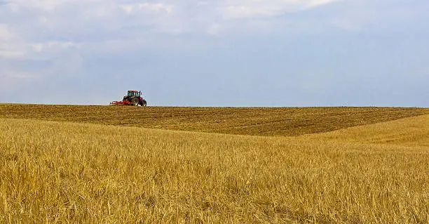 Photo of Tractor in the field