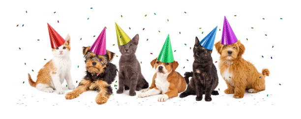 istock Party Puppies and Kittens With Confetti 468054010