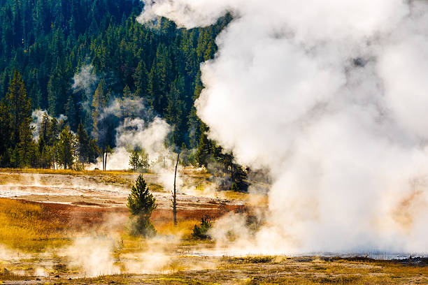 istock Misty meadow in Yellowstone 468059470
