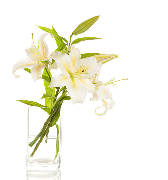 istock Bouquet of white lilies 468064339