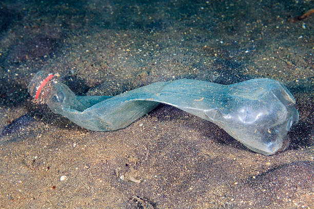 Discarded plastic bottle on the seabed A discarded plastic bottle lies on a lifeless, black sandy seabed mabul island stock pictures, royalty-free photos & images