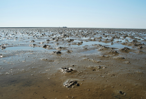 wadden sea while low tide, little sand rockes made by lug worms are everywhere, a ship and hallig langeness are in the background