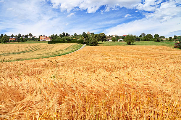 Provence landscape, France