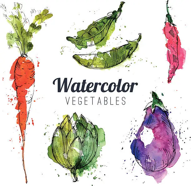 Vector illustration of Set of watercolor vegetables